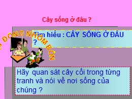 Bài giảng Tự nhiên và Xã hội Khối 2 - Bài 24: