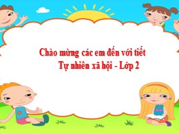 Bài giảng Tự nhiên và Xã hội Lớp 2 - Bài 14: 