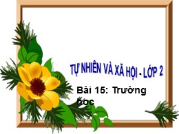 Bài giảng Tự nhiên và Xã hội Lớp 2 - Bài 15: 