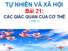 Bài giảng Tự nhiên và Xã hội Lớp 2 - Bài 21: Các giác quan của cơ thể (Tiết 1)