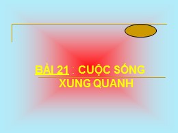 Bài giảng Tự nhiên và Xã hội Lớp 2 - Bài 21: 