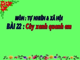 Bài giảng Tự nhiên và Xã hội Lớp 2 - Bài 22: Cây xanh quanh em - Năm học 2019-2020