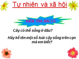 Bài giảng Tự nhiên và Xã hội Lớp 2 - Bài 25: Một số loài cây sống trên cạn