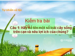 Bài giảng Tự nhiên và Xã hội Lớp 2 - Bài 26: Một số loài cây sống dưới nước