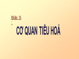 Bài giảng Tự nhiên và Xã hội Lớp 2 - Bài 5: C