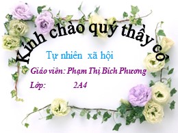 Bài giảng Tự nhiên và Xã hội Lớp 2 - Bài: Ăn,