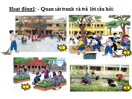 Bài giảng Tự nhiên và Xã hội Lớp 2 - Bài: Thự