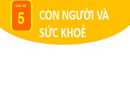 Bài giảng Tự nhiên và Xã hội Lớp 2 - Chủ đề 5: Con người và sức khỏe - Bài 25: Tìm hiểu cơ quan bài tiết nước tiểu (Tiết 1) - Năm học 2021-2022