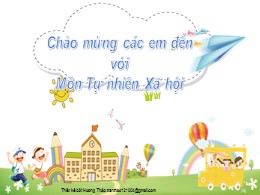 Bài giảng Tự nhiên và xã hội Lớp 2 - Bài 14: Cùng tham gia giao thông