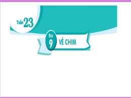 Bài giảng Tiếng Việt Lớp 2 (Kết nối tri thức 