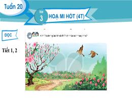 Bài giảng Tiếng Việt Lớp 2 (Kết nối tri thức 