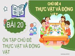 Bài giảng Tự nhiên xã hội Lớp 2 (Kết nối tri 