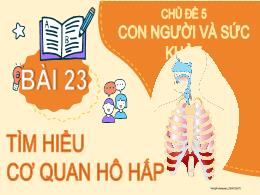 Bài giảng Tự nhiên xã hội Lớp 2 (Kết nối tri 