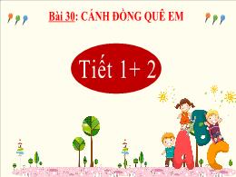 Bài giảng Tiếng Việt 2 - Bài 30: Cánh đồng qu
