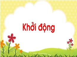 Bài giảng Tiếng Việt 2 - Tuần 25, Bài 14: MRV