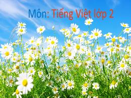 Bài giảng Tiếng Việt 2 - Tuần 28, Bài 17: Nhữ
