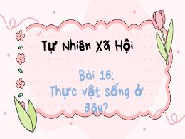 Bài giảng TNXH 2 - Bài 16: Thực vật sống ở đâ