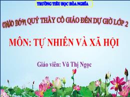 Bài giảng TNXH 2 - Bài 20: Ôn tập chủ đề Động