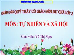 Bài giảng TNXH 2 - Chủ đề 4, Bài 19: Thực vật