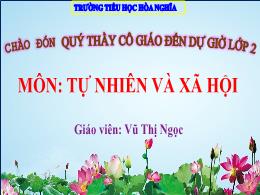 Bài giảng TNXH Lớp 2 - Bài 22: Chăm sóc,bảo v