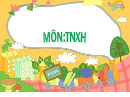 Bài giảng Tự nhiên xã hội 2 (Kết nối tri thức