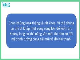 Bài giảng Tiếng Việt 2 - Bai 10: Khủng long