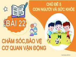 Bài giảng Tự nhiên xã hội 2 - Chủ đề 5: Con n